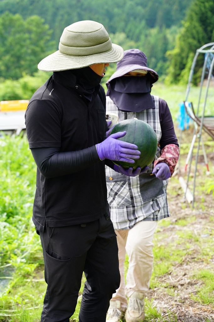実りの季節を迎えた農地